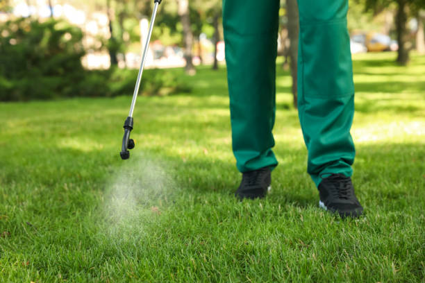Best Rat Extermination Near Me  in Phillipsburg, NJ