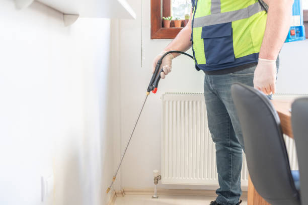 Best Termite Control Services  in Phillipsburg, NJ