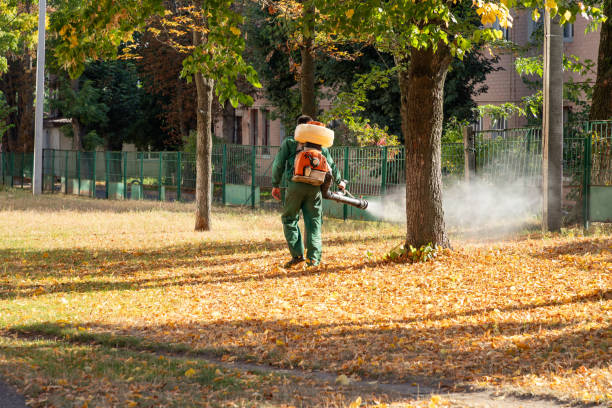 Best Exterminator Services  in Phillipsburg, NJ