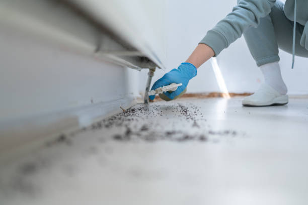 Trusted Phillipsburg, NJ Pest Control Experts