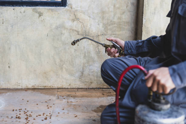 Best Pest Prevention Services  in Phillipsburg, NJ
