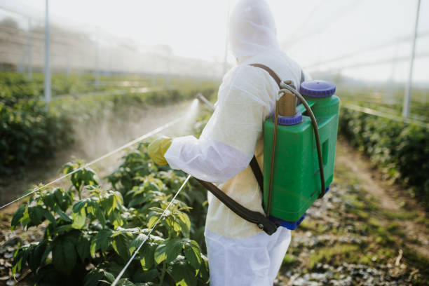 Pest Control for Restaurants in Phillipsburg, NJ